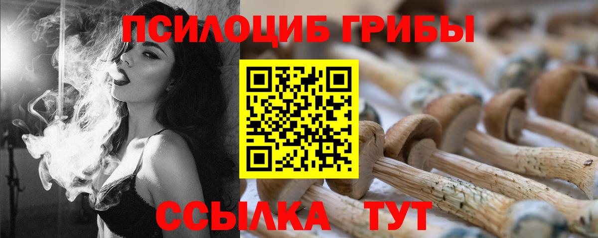 дарнет шоп  Вход с VPN  Солнечногорск  Псилоцибиновые грибы Cubensis 
