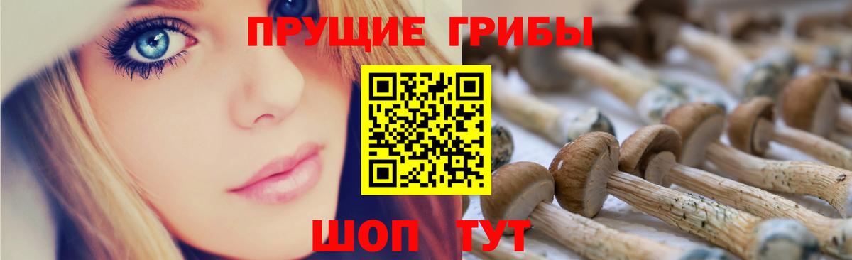 Галлюциногенные грибы прущие грибы Солнечногорск